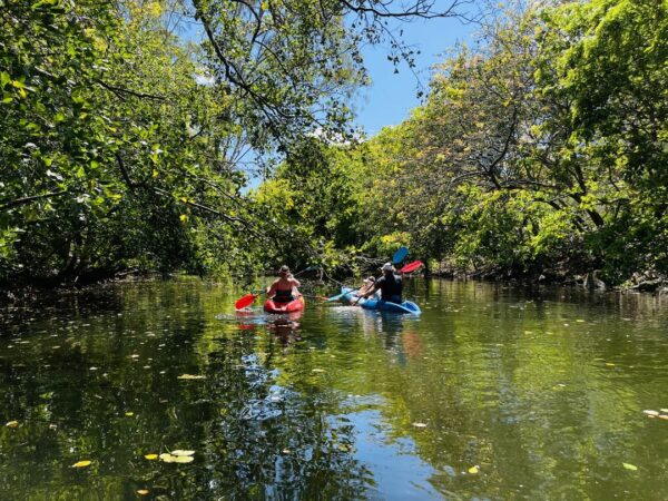 kayaking on the tamarind river with yanature