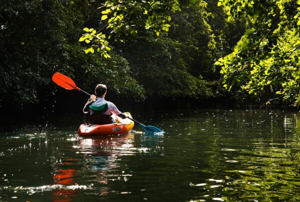 kayaking on the tamarind river