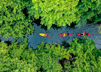 Kayaking Tamarin River