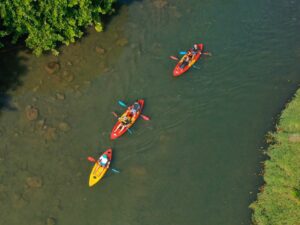 Kayaking Tamarin Dolphin