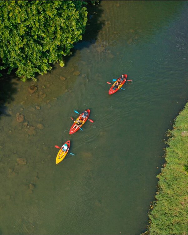 Kayaking Tamarin Dolphin