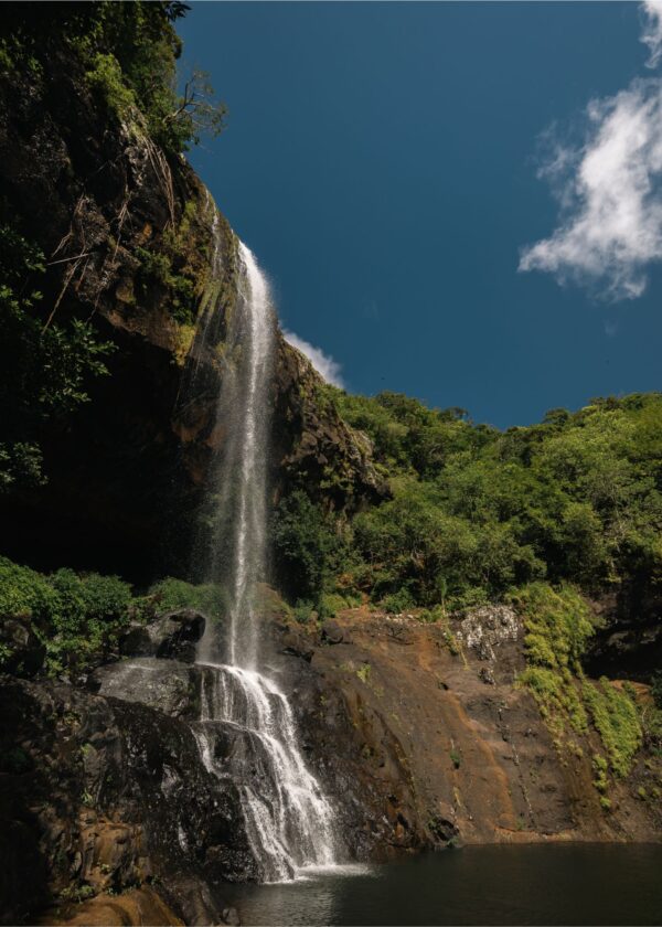 Full Day Hike Tamarind Falls - Image 2