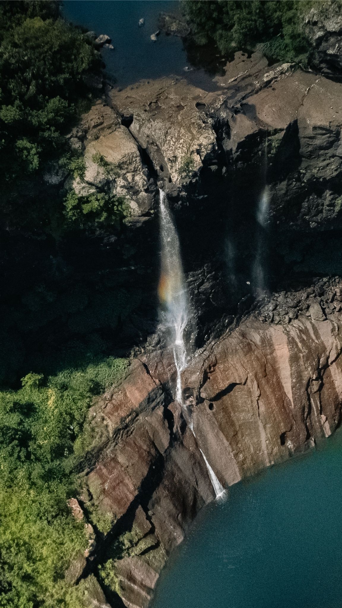 Full Day Hike Tamarind Falls - Image 5