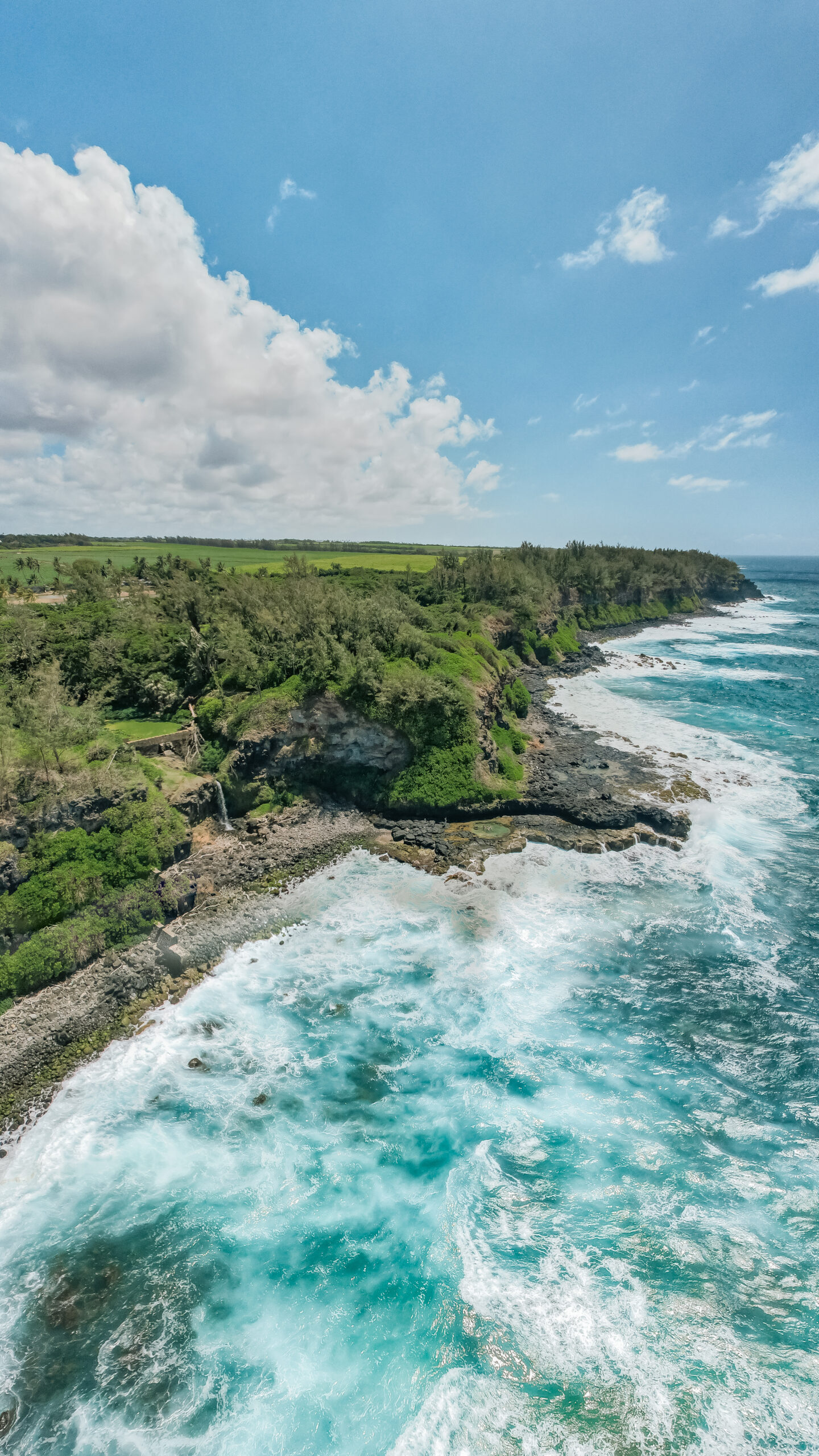 Discover the Wild South - Guided Hike - Image 6