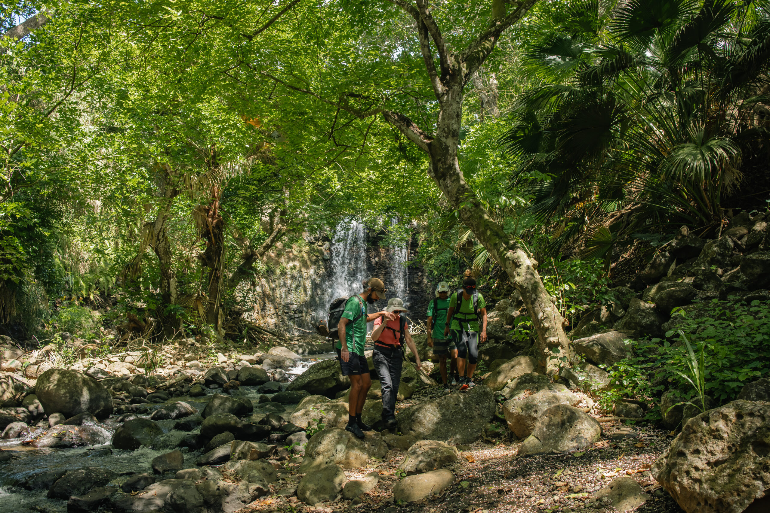 Discover the Wild South - Guided Hike - Image 5