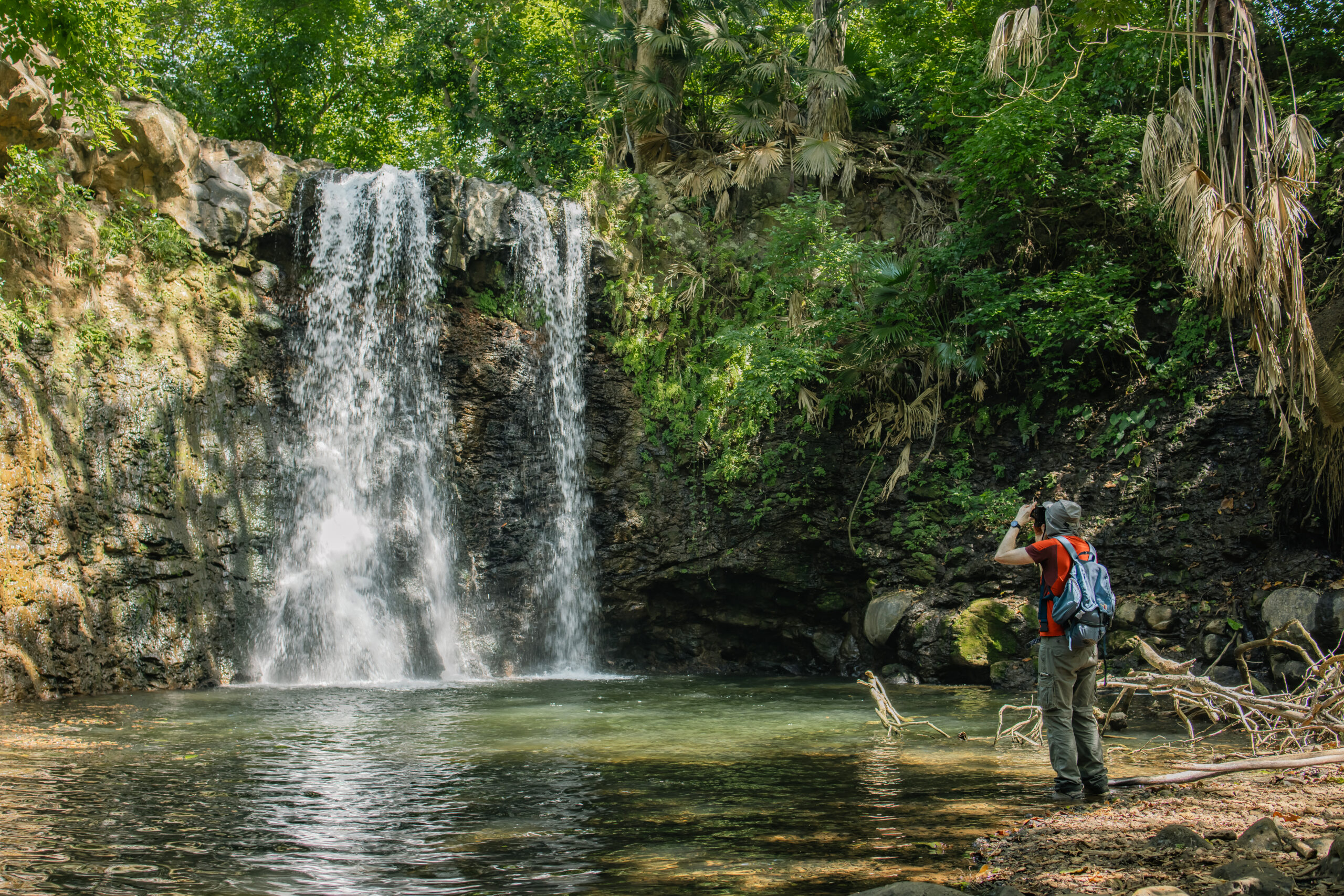 Discover the Wild South - Guided Hike - Image 4