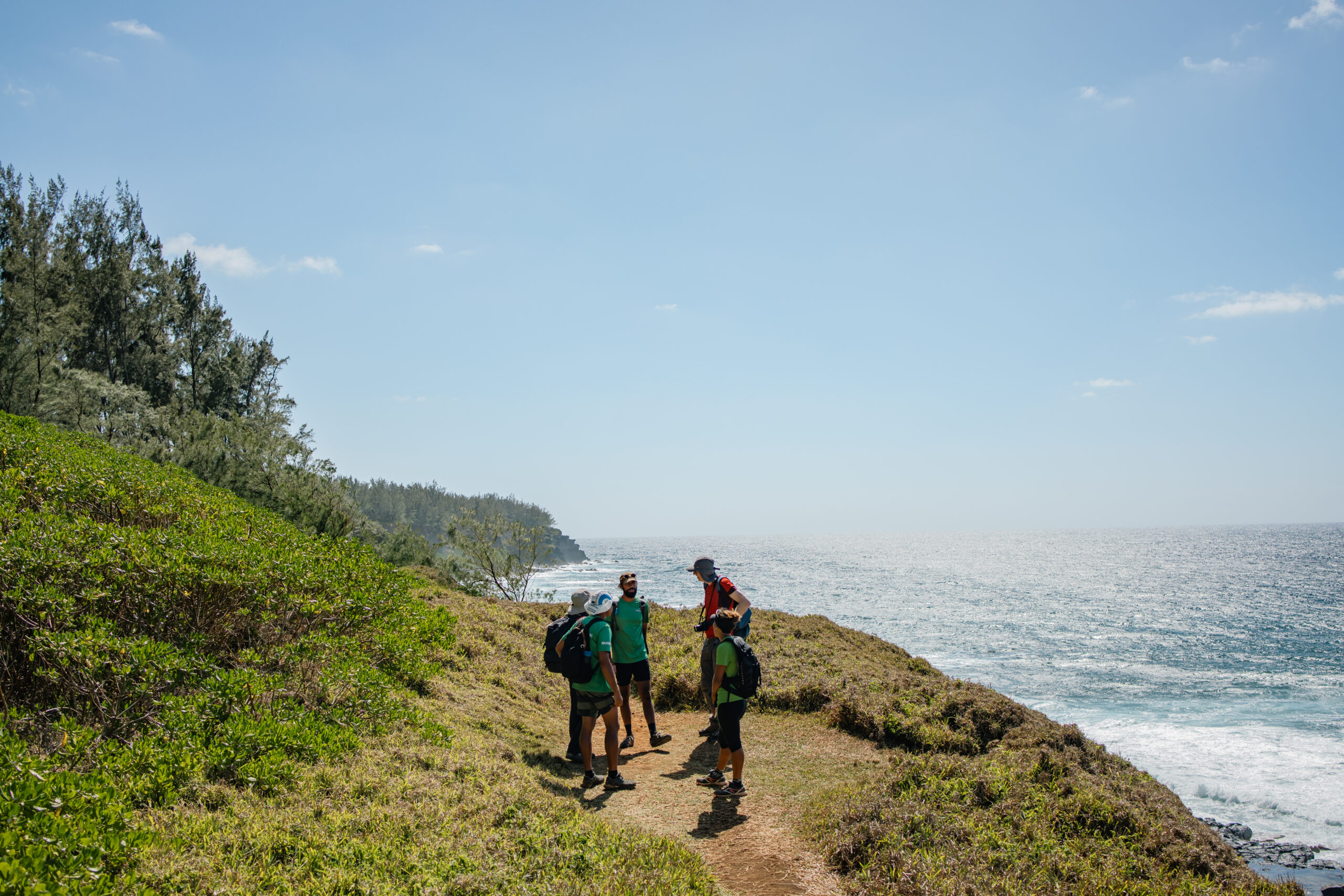 Discover the Wild South - Guided Hike - Image 3