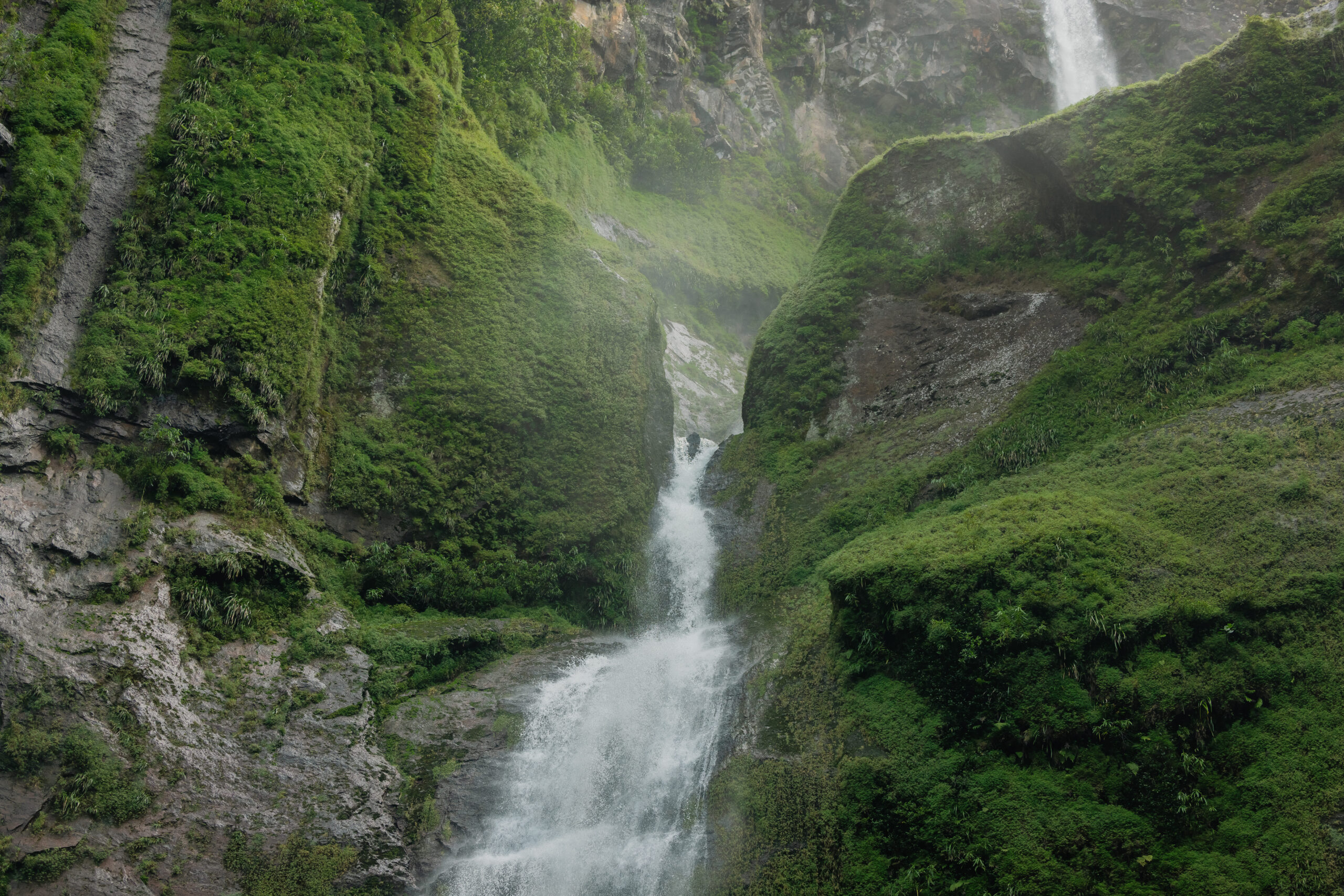 Cascade 500 Pieds - Guided Hike - Image 5