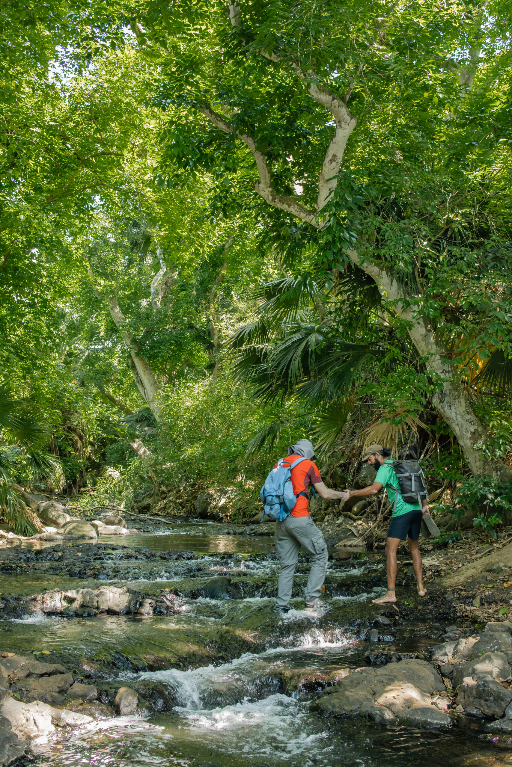 Discover the Wild South - Guided Hike - Image 9