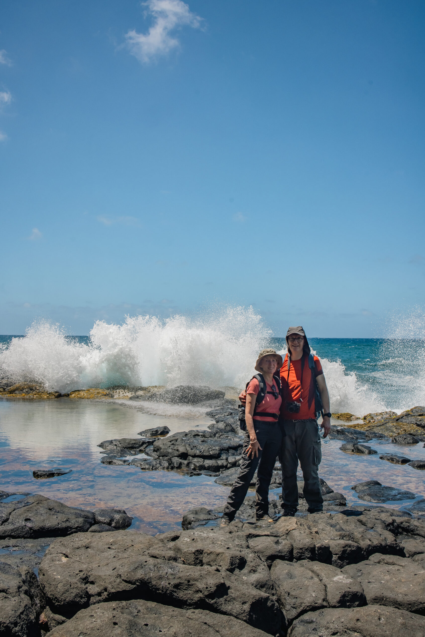 Discover the Wild South - Guided Hike - Image 8