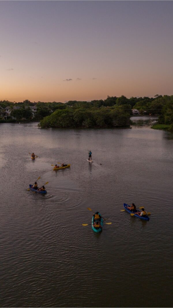 Kayak at Sunset on the Tamarin River - Image 2