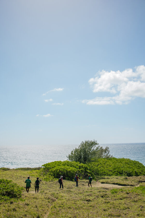 Discover the Wild South - Guided Hike - Image 2