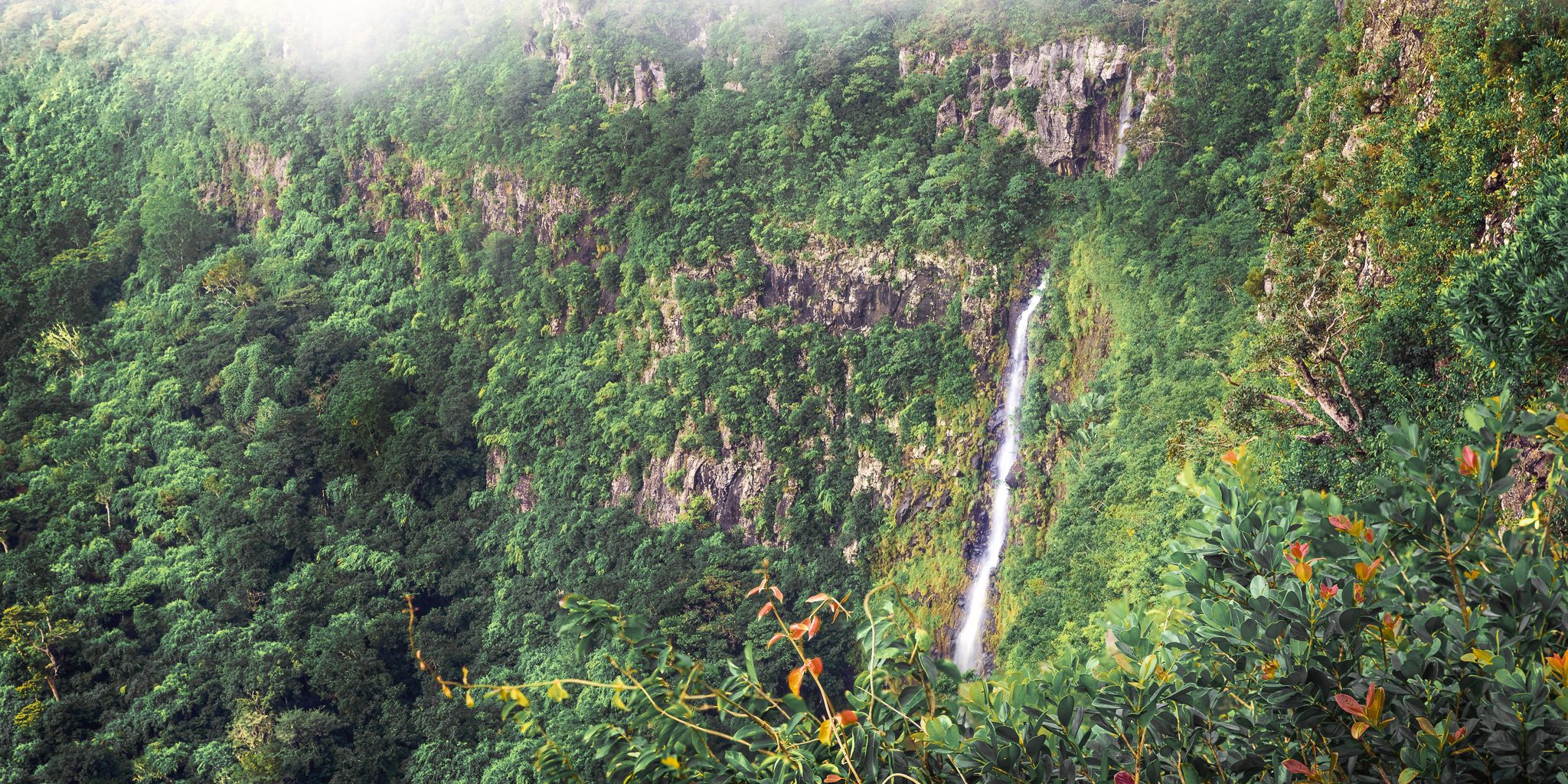 Panorama Of Waterfall Black River And Jungle Panorama Of Waterfall Black River And Jungle