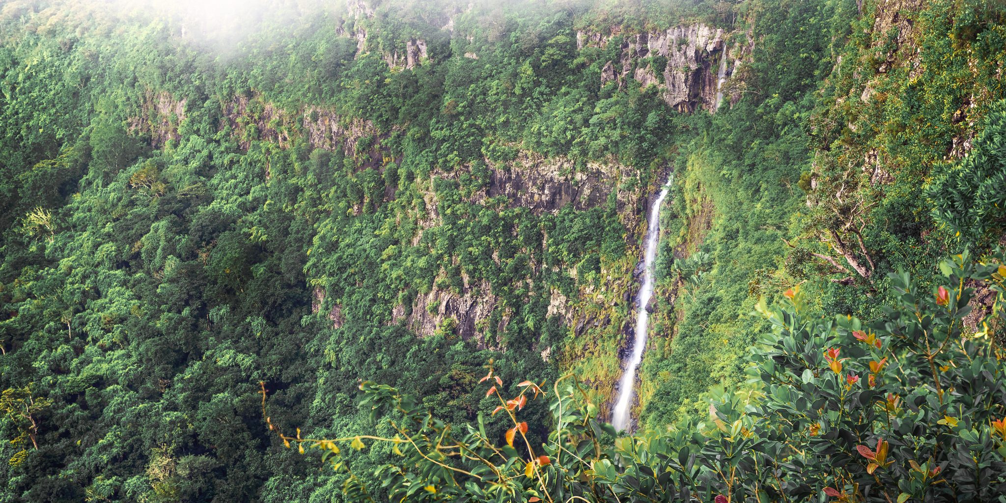 Panorama Of Waterfall Black River And Jungle